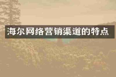 海尔网络营销渠道的特点