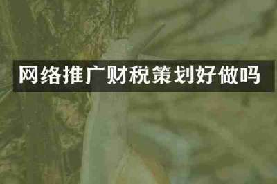 网络推广财税策划好做吗