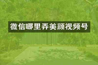 微信哪里弄美颜视频号