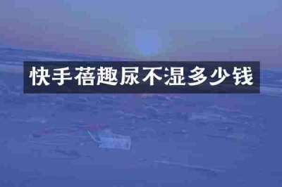 快手蓓趣尿不湿多少钱