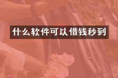 什么软件可以借钱秒到