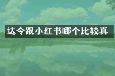 达令跟小红书哪个比较真