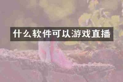 什么软件可以游戏直播