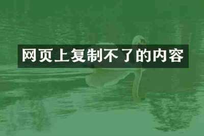 网页上复制不了的内容