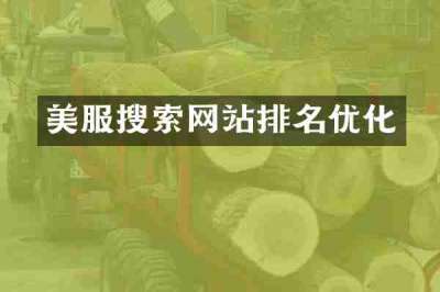 美服搜索网站排名优化
