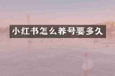 小红书怎么养号要多久