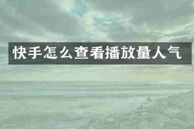 快手怎么查看播放量人气