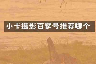 小卡摄影百家号推荐哪个
