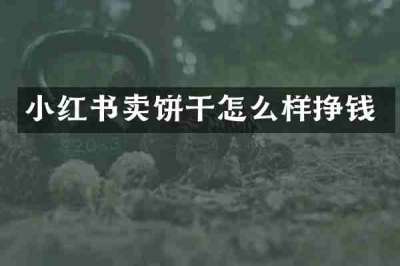 小红书卖饼干怎么样挣钱