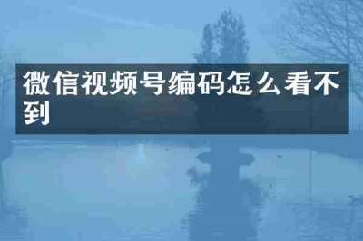 微信视频号编码怎么看不到