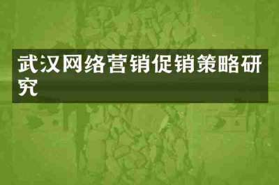 武汉网络营销促销策略研究