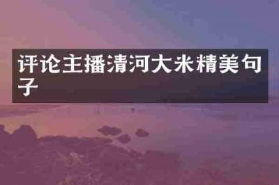 评论主播清河大米精美句子