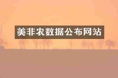美非农数据公布网站