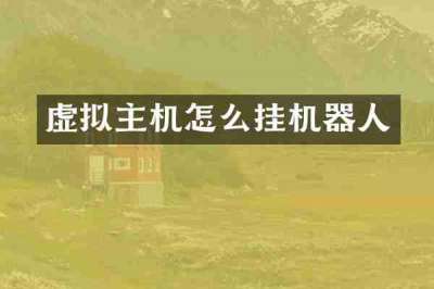 虚拟主机怎么挂机器人