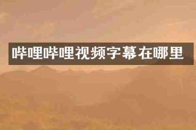 哔哩哔哩视频字幕在哪里