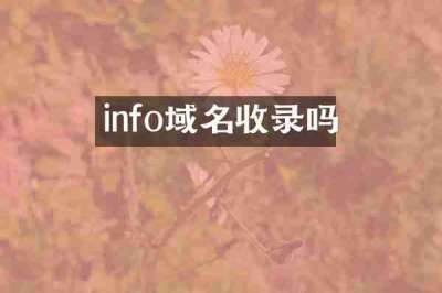 info域名收录吗