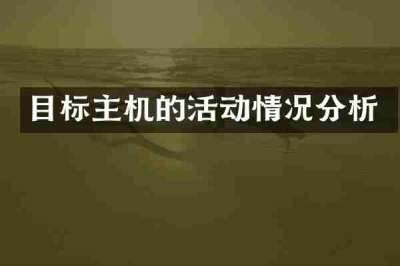 目标主机的活动情况分析