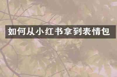 如何从小红书拿到表情包