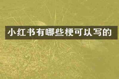 小红书有哪些梗可以写的