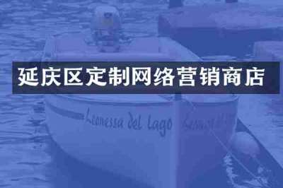 延庆区定制网络营销商店