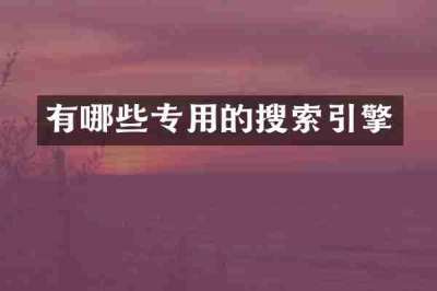 有哪些专用的搜索引擎