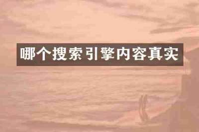 哪个搜索引擎内容真实