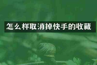 怎么样取消掉快手的收藏