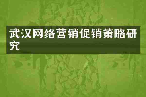 武汉网络营销促销策略研究