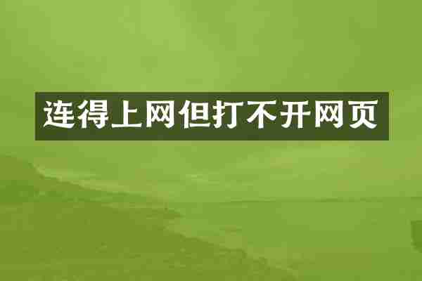 连得上网但打不开网页