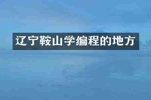 辽宁鞍山学编程的地方