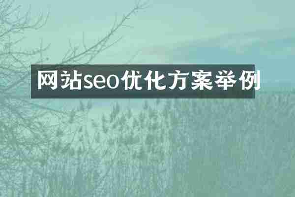 网站seo优化方案举例