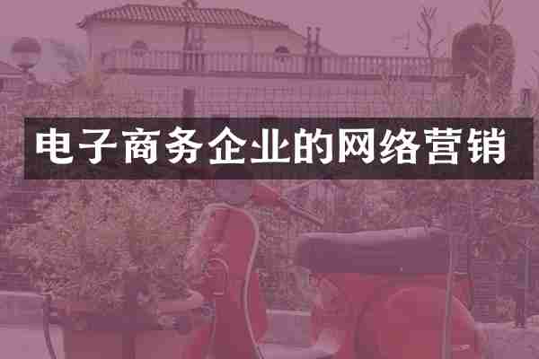 电子商务企业的网络营销