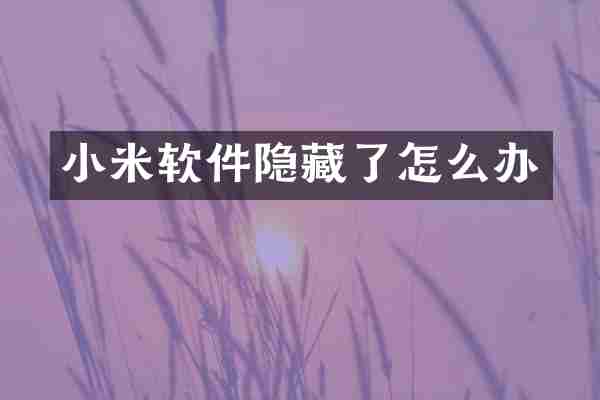 小米软件隐藏了怎么办