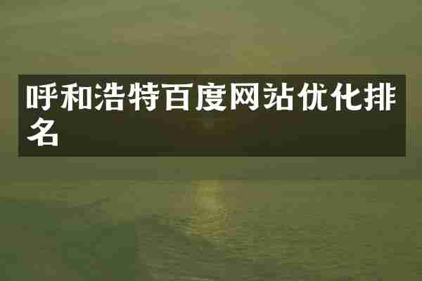 呼和浩特百度网站优化排名