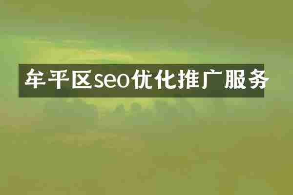 牟平区seo优化推广服务