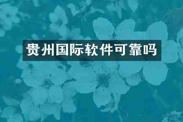 贵州国际软件可靠吗