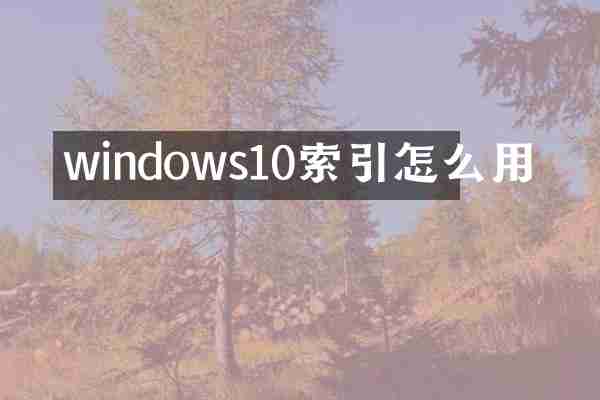 windows10索引怎么用