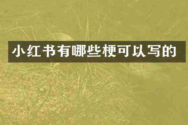 小红书有哪些梗可以写的