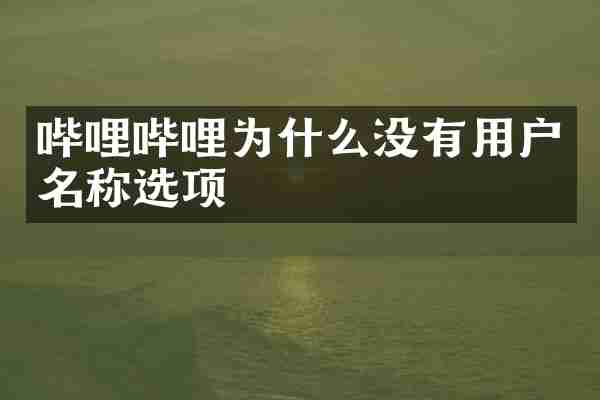 哔哩哔哩为什么没有用户名称选项
