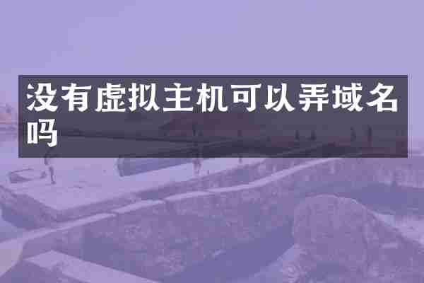 没有虚拟主机可以弄域名吗