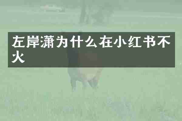 左岸潇为什么在小红书不火
