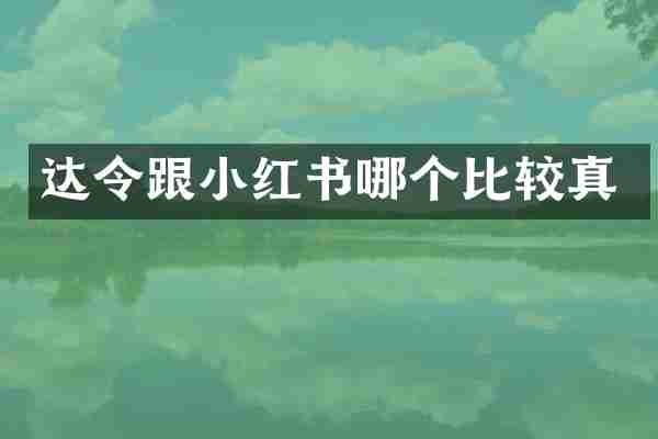 达令跟小红书哪个比较真