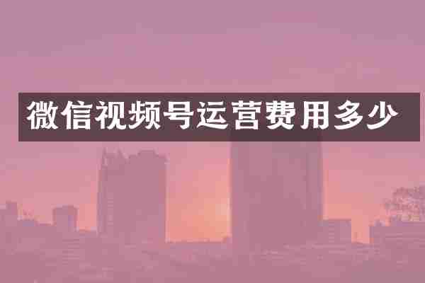 微信视频号运营费用多少