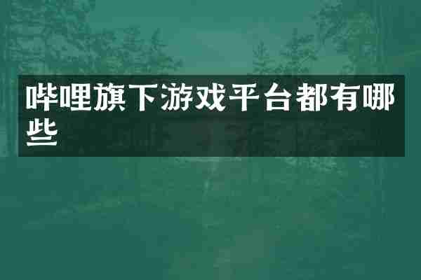 哔哩旗下游戏平台都有哪些