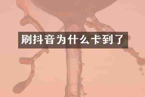 刷抖音为什么卡到了