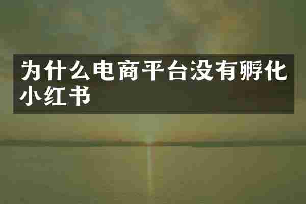 为什么电商平台没有孵化小红书