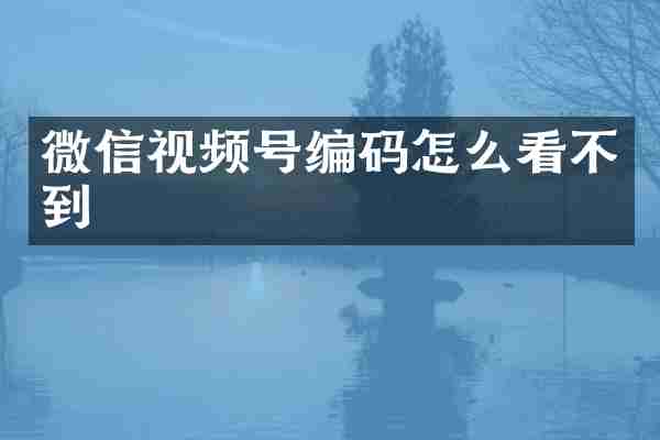 微信视频号编码怎么看不到
