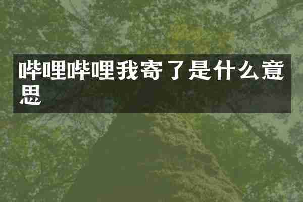 哔哩哔哩我寄了是什么意思