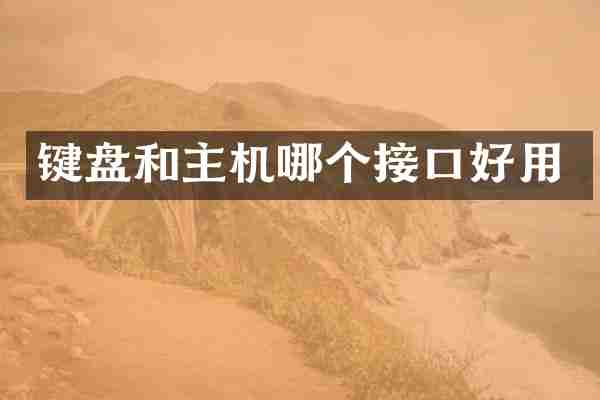 键盘和主机哪个接口好用