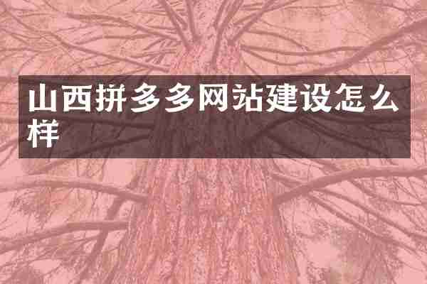 山西拼多多网站建设怎么样
